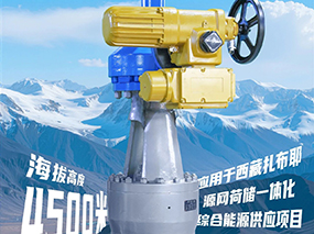 4500米！良固閥門集團服務全球海拔最高的光熱電站